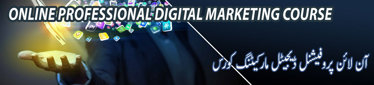 online professional digital marketing course