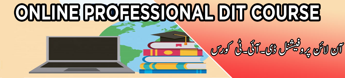 online professional dit course